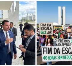 flavio para campanha 6x1